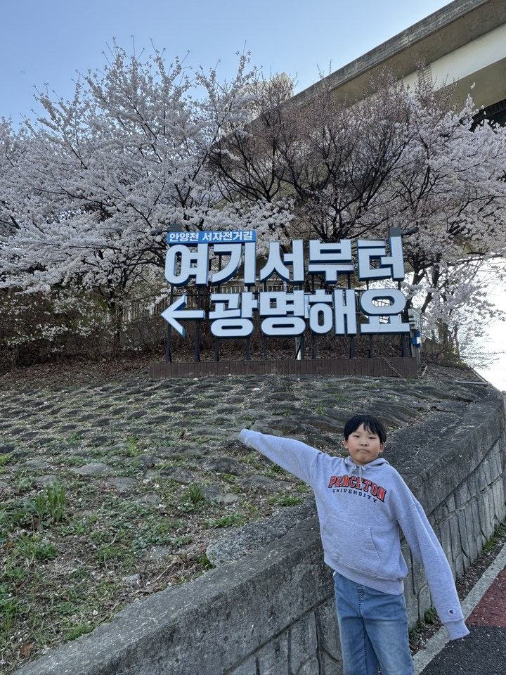 봄봄봄~ 봄이 왔어요~ 집에만 콕 박혀있지 말고 산책해보세요!